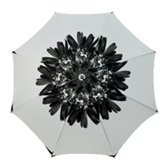 Daisy Black And White Bridal Umbrella (golf) by rainorshine