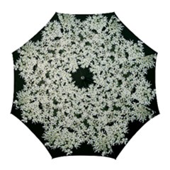 White Lace Canopy Bridal Umbrella (golf) by rainorshine