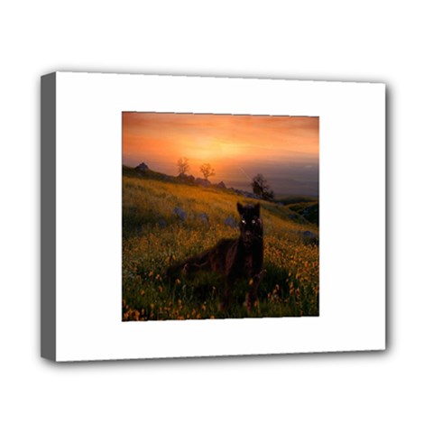 Evening Rest Canvas 10  X 8  (framed) by mysticalimages