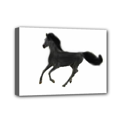 Running Horse Mini Canvas 7  X 5  (framed) by mysticalimages