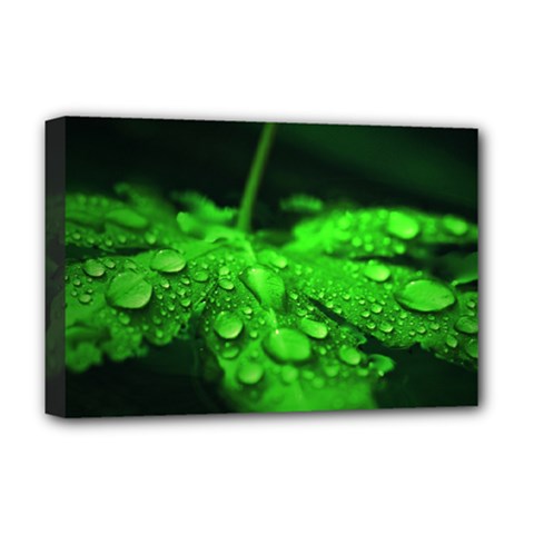 Waterdrops Deluxe Canvas 18  X 12  (framed) by Siebenhuehner