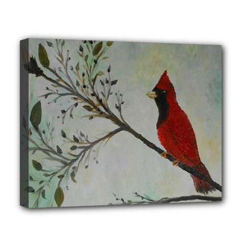 Sweet Red Cardinal Deluxe Canvas 20  X 16  (framed) by rokinronda