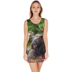 Bull Moose Bodycon Dress by StuffOrSomething