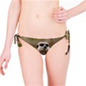 MEERKAT Bikini Bottoms View1