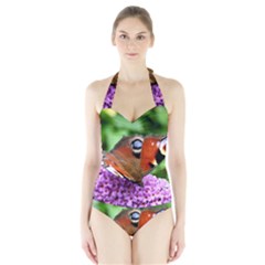 Peacock Butterfly Women s Halter One Piece Swimsuit by trendistuff