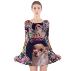 Chi Chi In Butterflies, Chihuahua Dog In Cute Hat Long Sleeve Velvet Skater Dress by DianeClancy