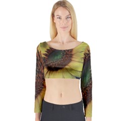 Sunflower Photography  Long Sleeve Crop Top by vanessagf