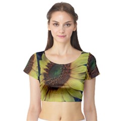 Sunflower Photography  Short Sleeve Crop Top (tight Fit) by vanessagf