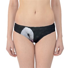 Stork Bird Hipster Bikini Bottoms by picsaspassion