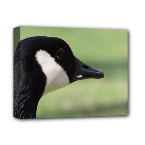 Goose, Black And White Deluxe Canvas 14  X 11  by picsaspassion