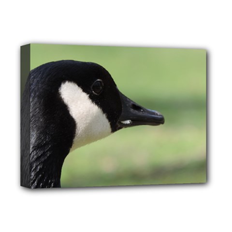 Goose, Black And White Deluxe Canvas 16  X 12   by picsaspassion