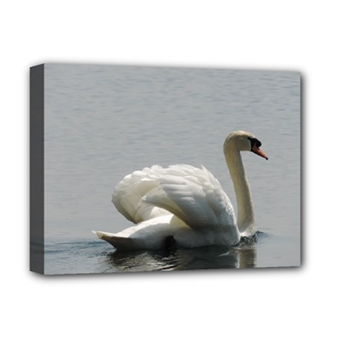 Swimming White Swan Deluxe Canvas 16  X 12   by picsaspassion