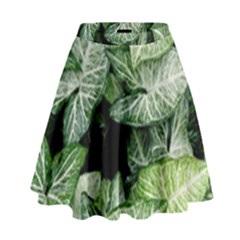 Green Leaves Nature Pattern Plant High Waist Skirt by Amaryn4rt