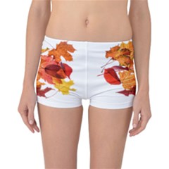 Autumn Leaves Leaf Transparent Reversible Bikini Bottoms by Amaryn4rt