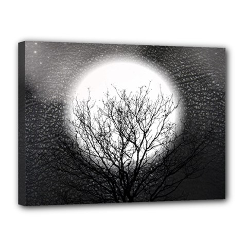 Starry Sky Canvas 16  X 12  by digitaldivadesigns