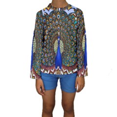 The Peacock Pattern Kids  Long Sleeve Swimwear by Nexatart