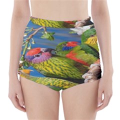 Beautifull Parrots Bird High-waisted Bikini Bottoms by Nexatart