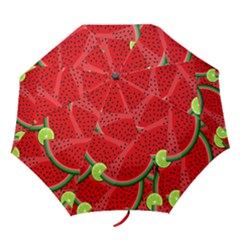 Watermelon Slices Folding Umbrellas by Valentinaart