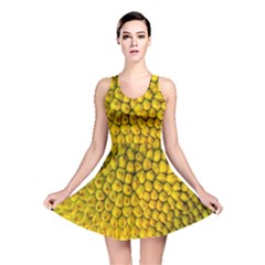 Jack Shell Jack Fruit Close Reversible Skater Dress by Amaryn4rt