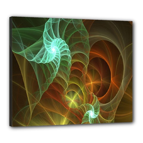 Art Shell Spirals Texture Canvas 24  X 20  by Simbadda