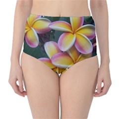 Premier Mix Flower High-waist Bikini Bottoms by alohaA