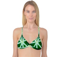 Green Leaf Macro Detail Reversible Tri Bikini Top by Nexatart