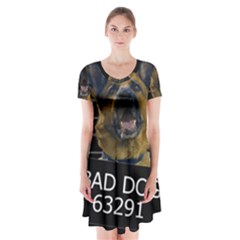 Bad Dog Short Sleeve V-neck Flare Dress by Valentinaart