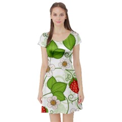 Strawberry Fruit Leaf Flower Floral Star Green Red White Short Sleeve Skater Dress by Mariart