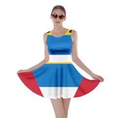 Banner Flag Sun Line Chevron Red White Black Blue Skater Dress by Mariart