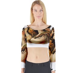 Carmen Long Sleeve Crop Top by Valentinaart