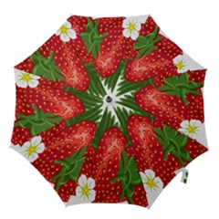 Strawberry Red Seed Leaf Green Hook Handle Umbrellas (medium) by Mariart