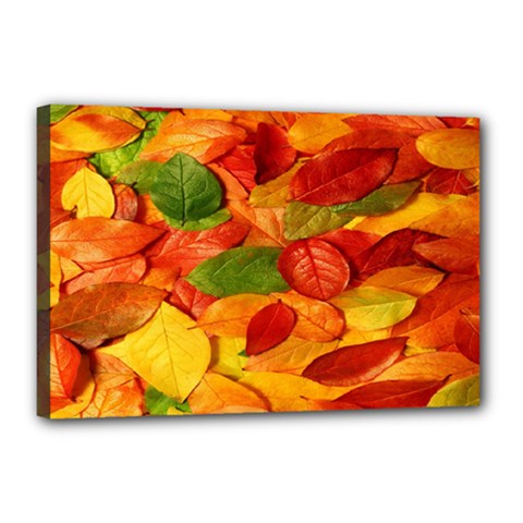 Leaves Texture Canvas 18  X 12  by BangZart