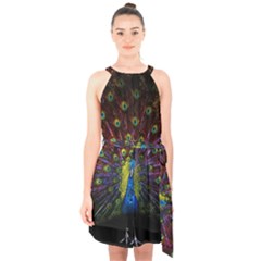 Beautiful Peacock Feather Halter Collar Waist Tie Chiffon Dress by BangZart