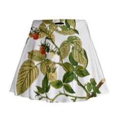 Berries Berry Food Fruit Herbal Mini Flare Skirt by Nexatart