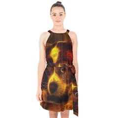 Cute 3d Dog Halter Collar Waist Tie Chiffon Dress by BangZart