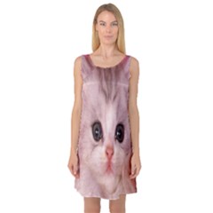 Cat  Animal  Kitten  Pet Sleeveless Satin Nightdress by BangZart