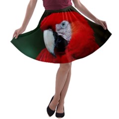 Scarlet Macaw Bird A-line Skater Skirt by BangZart