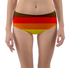 Philadelphia Pride Flag Reversible Mid-waist Bikini Bottoms by Valentinaart