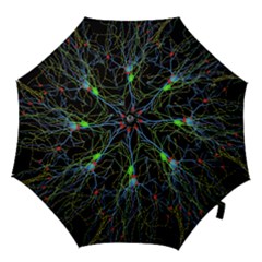 Synaptic Connections Between Pyramida Neurons And Gabaergic Interneurons Were Labeled Biotin During Hook Handle Umbrellas (small) by Mariart