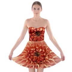 Dahlia Flower Joy Nature Luck Strapless Bra Top Dress by Nexatart