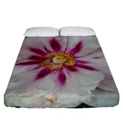 Floral Soft Pink Flower Photography Peony Rose Fitted Sheet (king Size) by yoursparklingshop