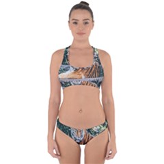 Animal Big Cat Safari Tiger Cross Back Hipster Bikini Set by Celenk