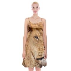 Big Male Lion Looking Right Spaghetti Strap Velvet Dress by Ucco