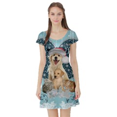 It s Winter And Christmas Time, Cute Kitten And Dogs Short Sleeve Skater Dress by FantasyWorld7