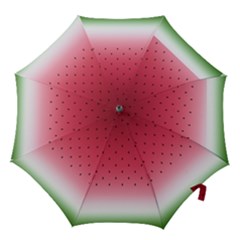 Watermelon Hook Handle Umbrellas (small) by jumpercat