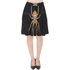 Insect Macro Spider Colombia Velvet High Waist Skirt by BangZart