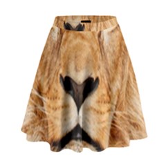 Africa African Animal Cat Close Up High Waist Skirt by BangZart