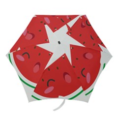 Watermelon Red Network Fruit Juicy Mini Folding Umbrellas by BangZart