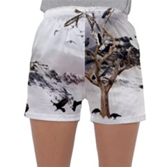 Birds Crows Black Ravens Wing Sleepwear Shorts by BangZart