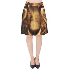 Cat Tiger Animal Wildlife Wild Velvet High Waist Skirt by Celenk